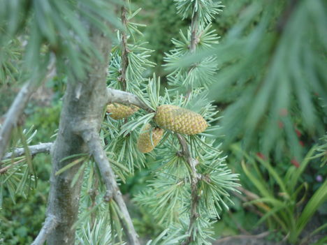 P1080148