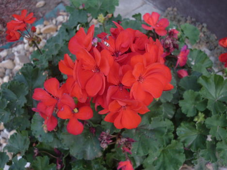P1080155