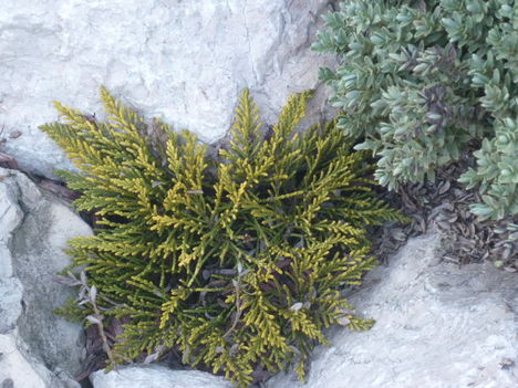 P1080157