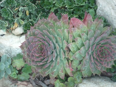 P1080158