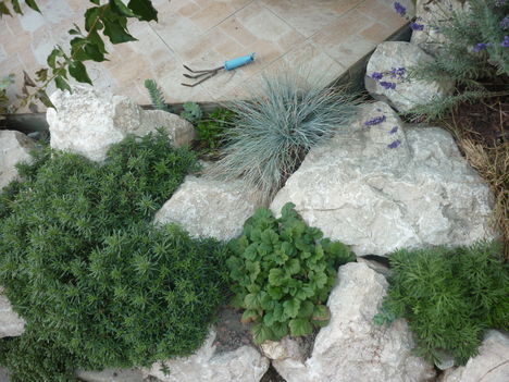 P1080160
