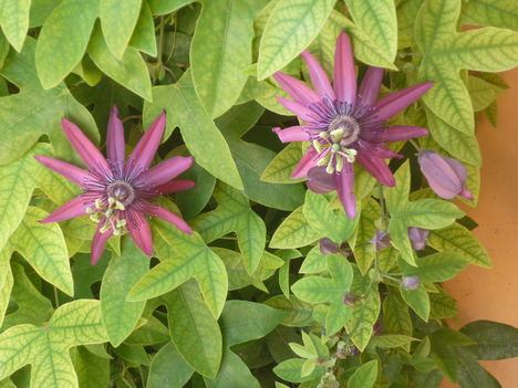 P1080166