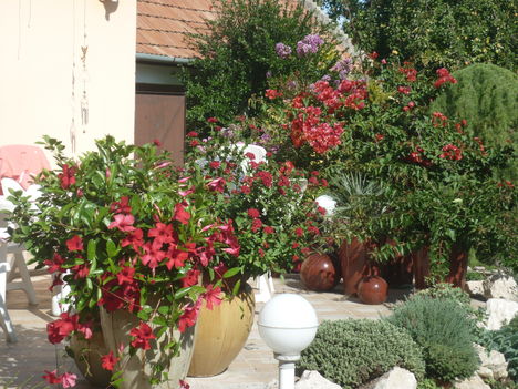 P1080175