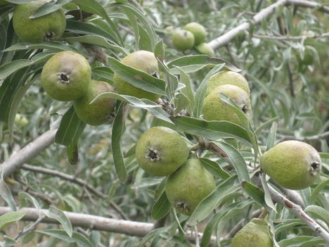 P1080240