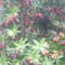 P1080243