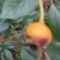 P1080245