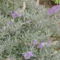 P1080251