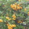P1080252