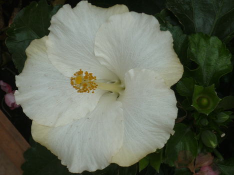 P1080257