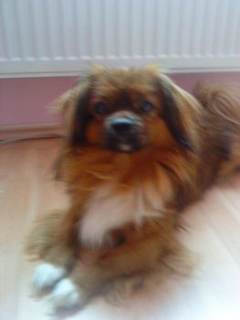 kicsit álmosan :P ♥♥