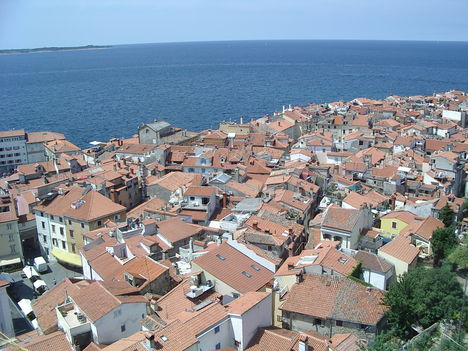Kép 869