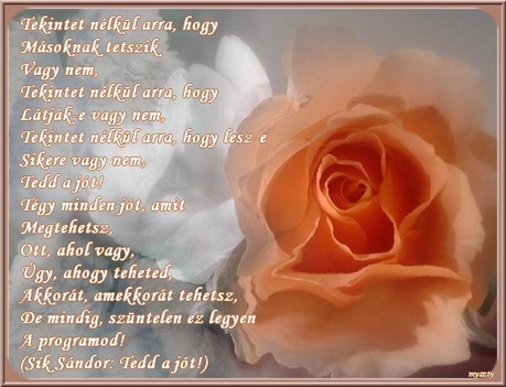 tedd_a_jot_247164_13687