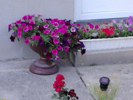 2011-06-23 18.50