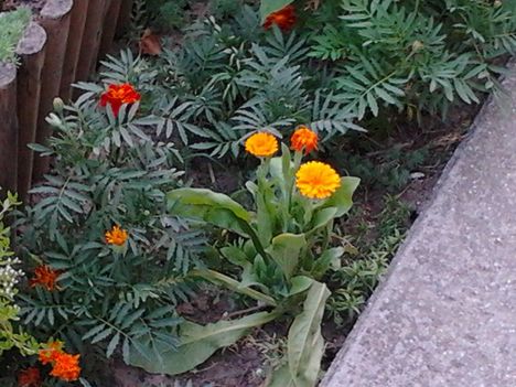 2011-06-23 18.51
