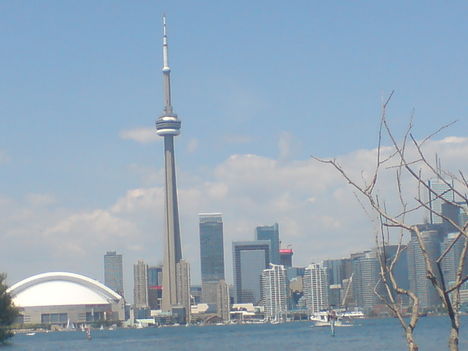 DSC00041