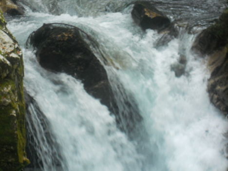DSCN0088
