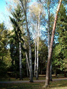 Égig érők-2.