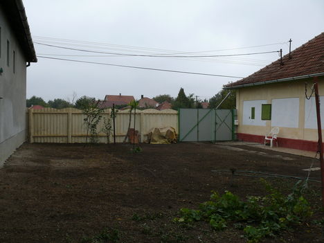 Belső udvar, BINGÓ!!!!! 4