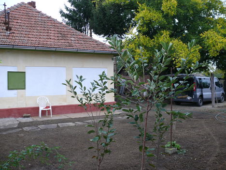 Belső udvar, BINGÓ!!!!! 6