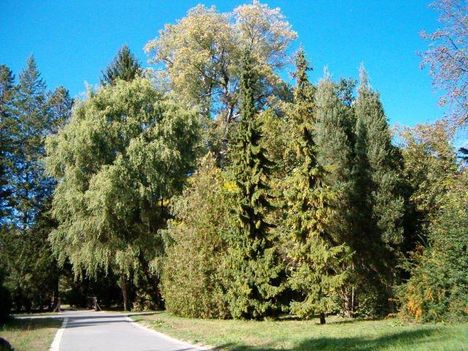Őszi zöldövezet-3.