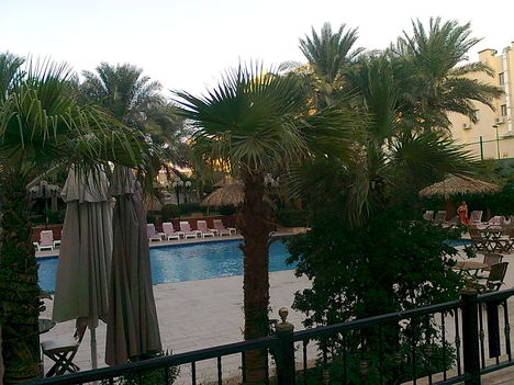 pálmafák a szállodánk úszómedencéje körül
