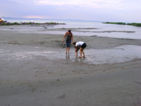 DSC06234