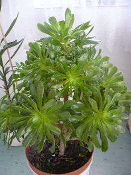 P1080571