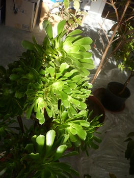 P1080572