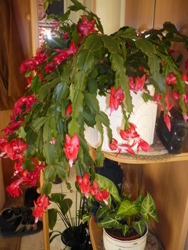 P1080688