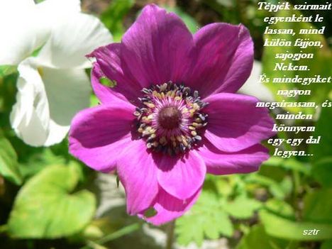 photo-72