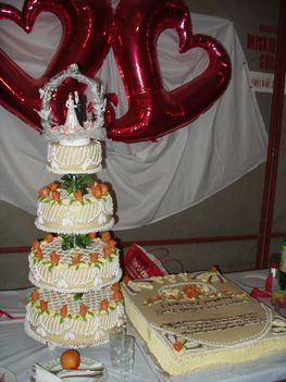 user_14783017_1268559702258
