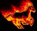 fire Horse