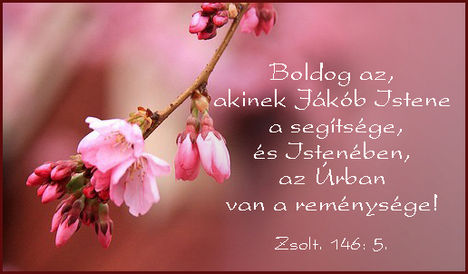 ISTEN A MI REMENYSEGUNK!