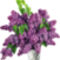 virag2-15