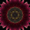virag2-28