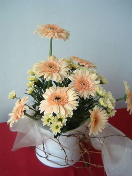 virag2-81