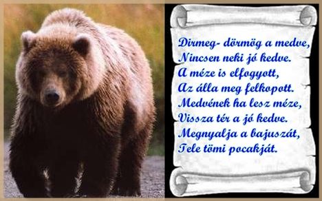 macis mondóka