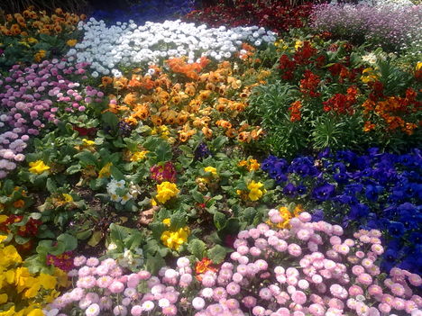20110424168