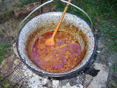 2011   JULIUS  KERTIPARTI BARÁTAINKNÁL 033