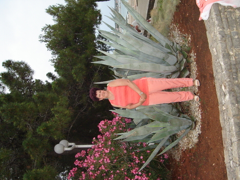 DSC00609