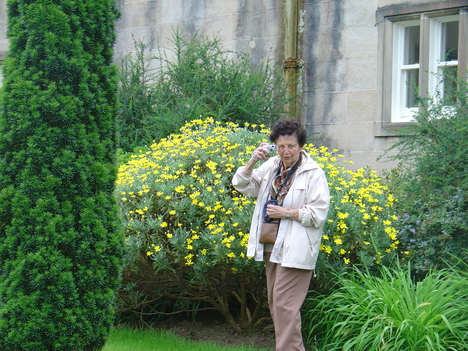DSC04823