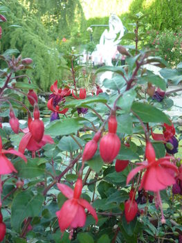 P1060434