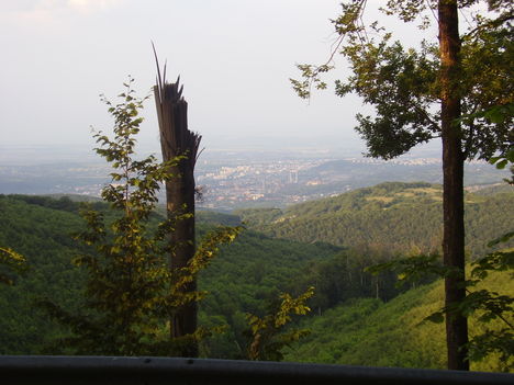 P5280003