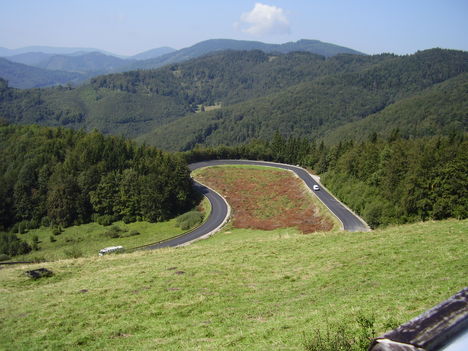 P8230004