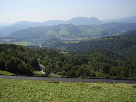 P8230006