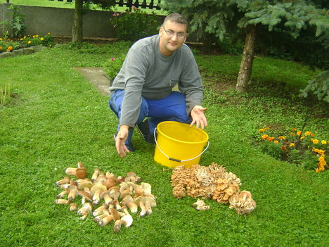 Párom szedte ezt a sok fincsi gombát