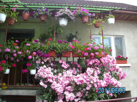 PICT0268