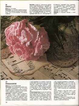 szegfu_es_rozsa_leirasa_1083559_9001