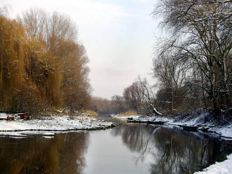 Szúnyog-sziget