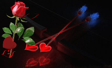Valentin 12
